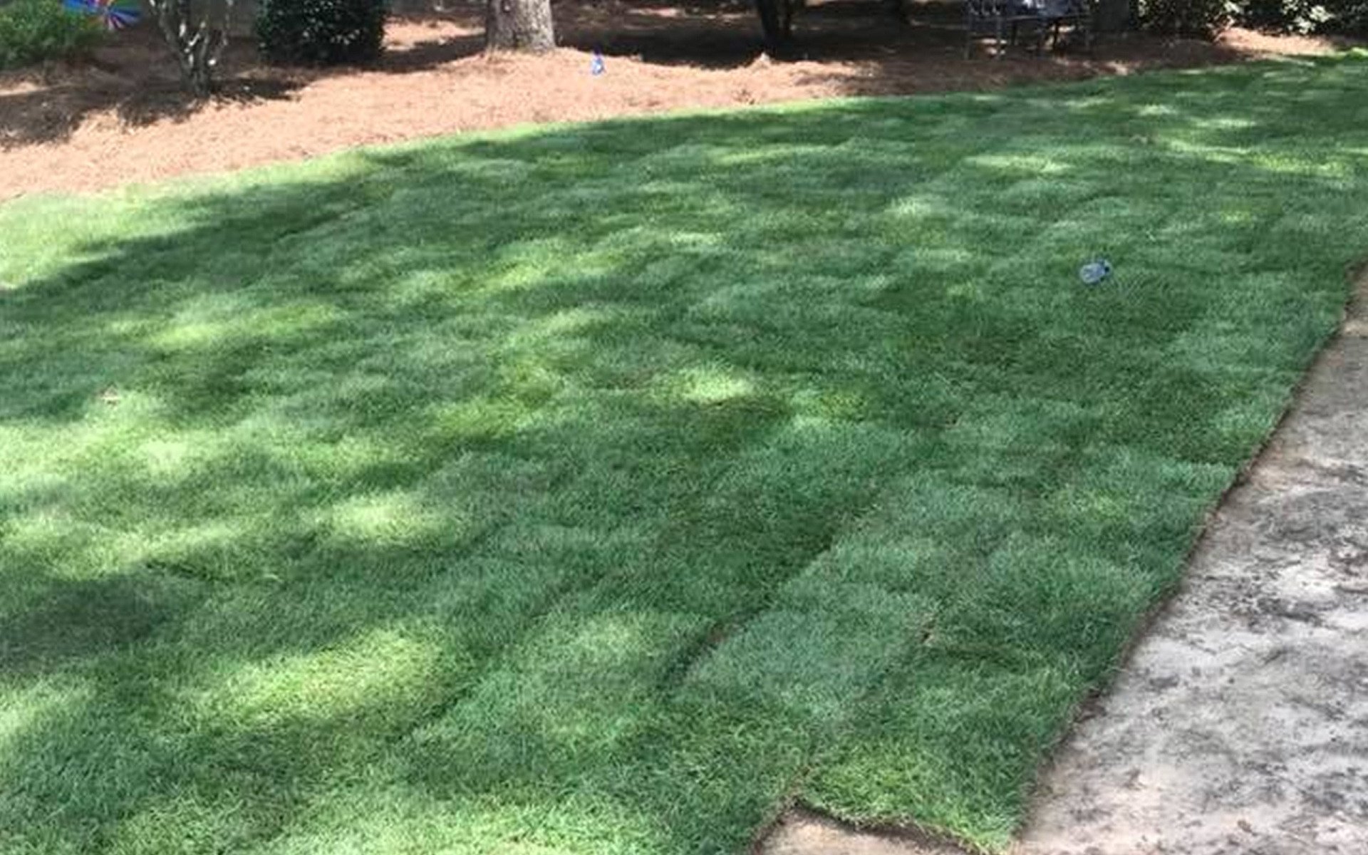 Pro Grade Sod and Stone MS logo